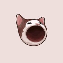 Popcat token icon